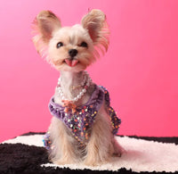 Princess Sequin Dress