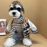 Purberry Baseball Jacket