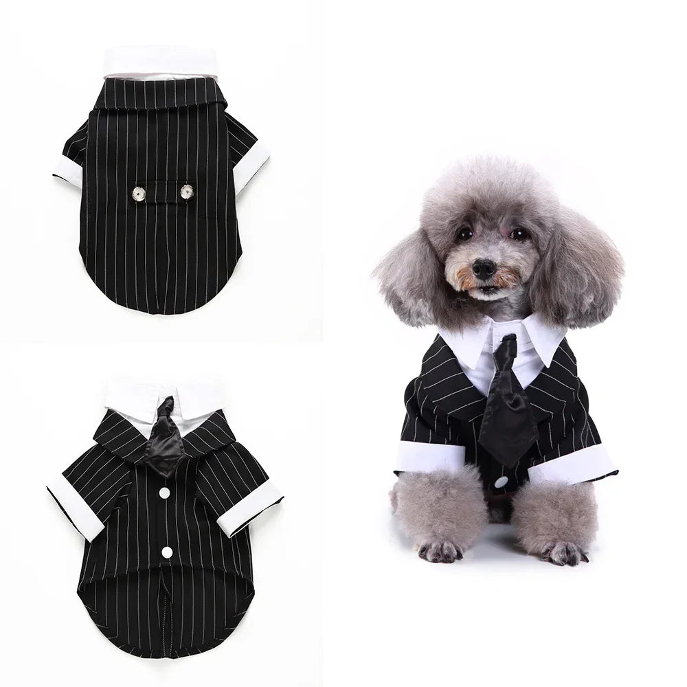 Tie Suit