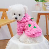 Dragon Fruit Flannel Hoodie