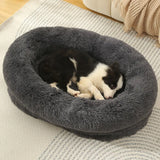 PawLuxe Oval Dog Bed