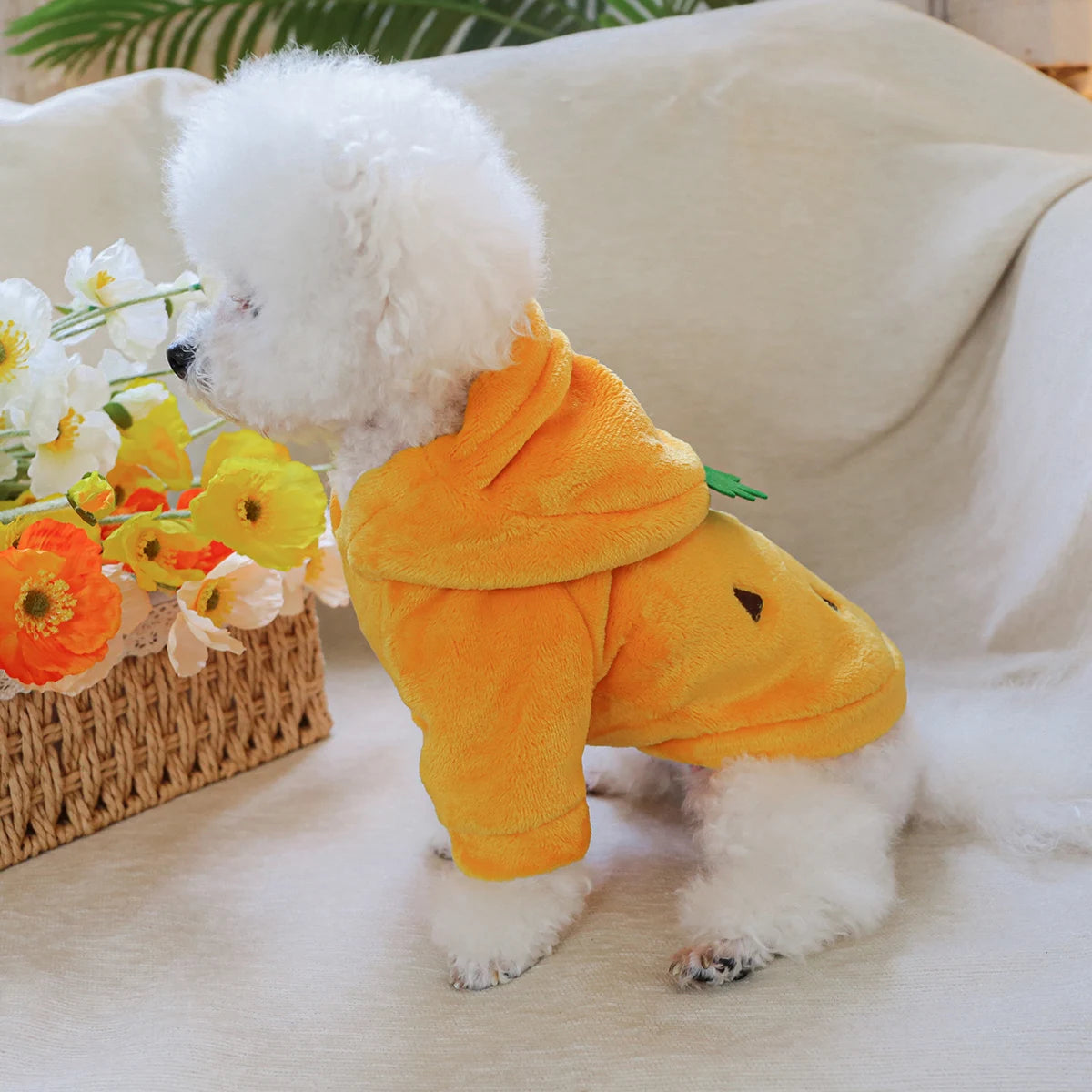 Pineapple Flannel Hoodie