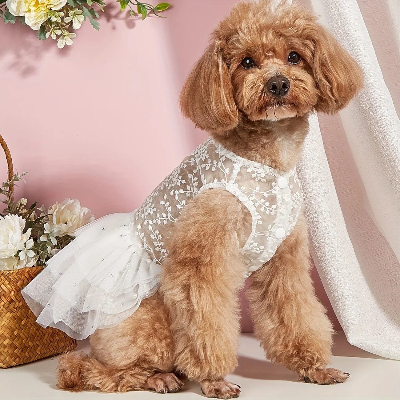 Lace Pearl Princess Dress