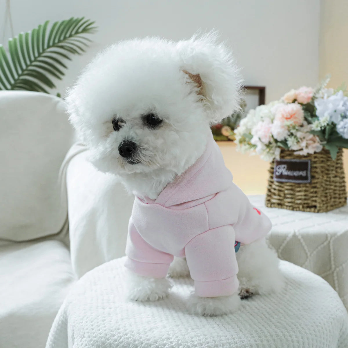 The Princess Has Arrived Hoodie