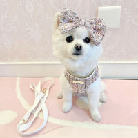 PawPrincess Harness and Leash