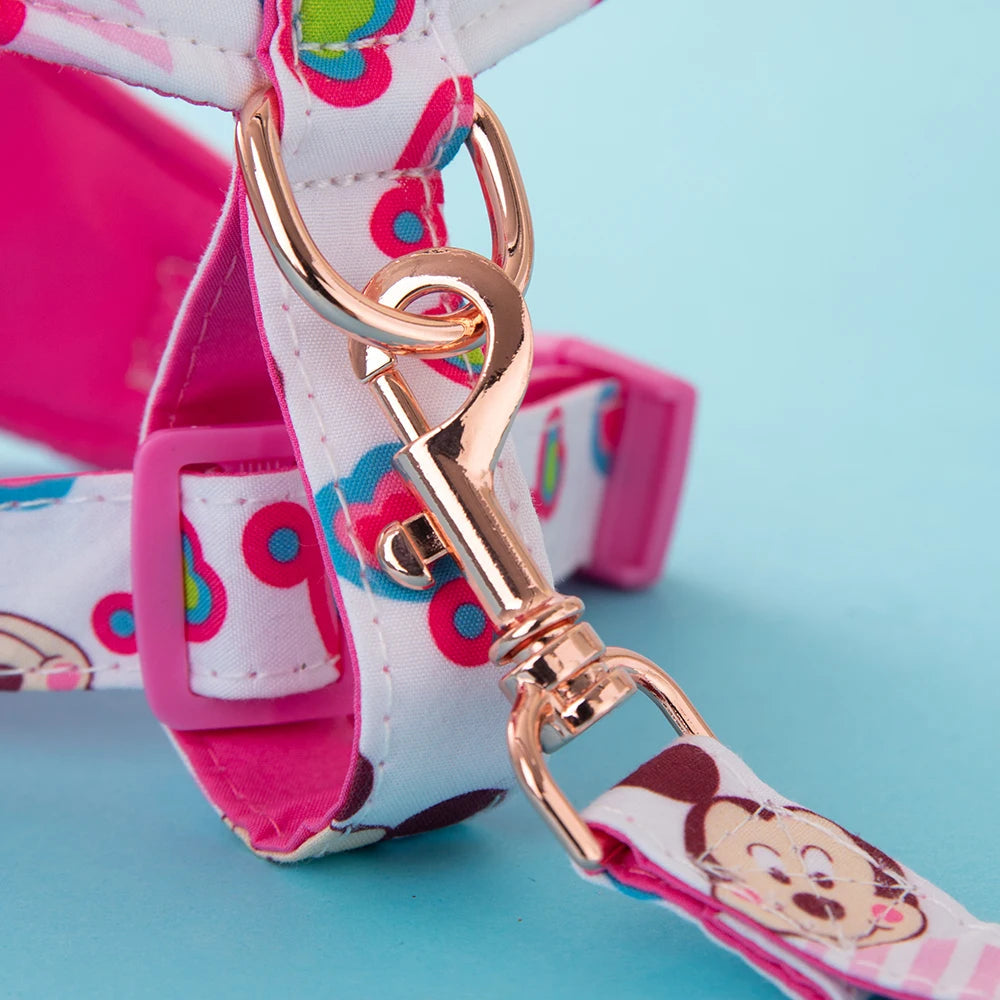 Disney Harness and Leash