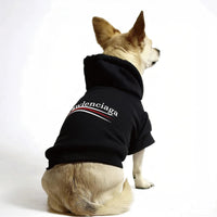Pawlenciaga Hoodie