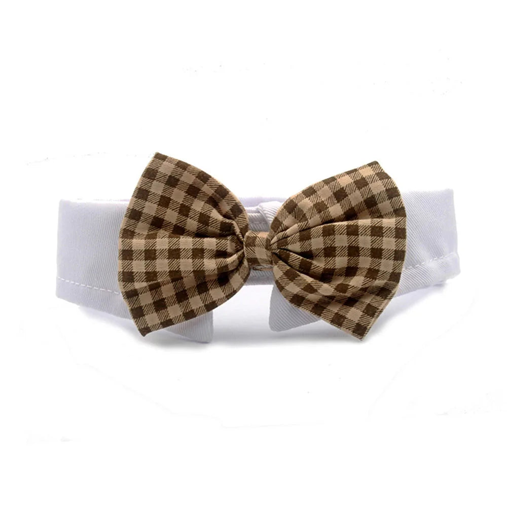 Bowtie Collar