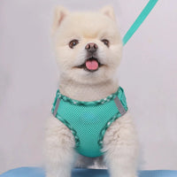 Supet 1pc Dog Harness, Anti-Pull, Pet Harness, Adjustable, Easy to Control, Suitable for Small, Medium Dogs