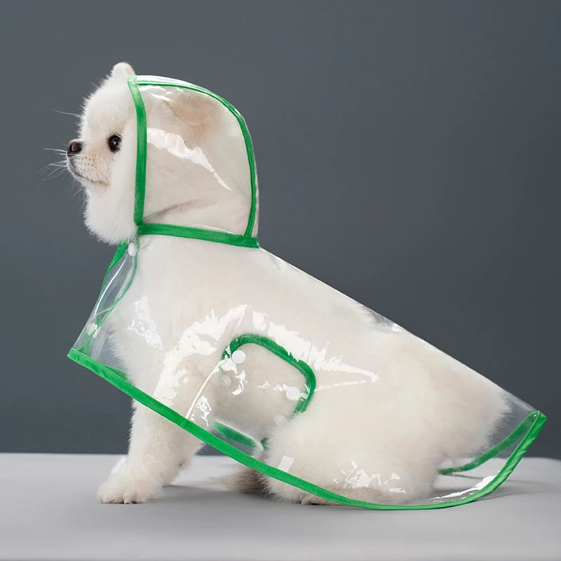 Transparent Hooded Raincoat