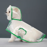 Transparent Hooded Raincoat