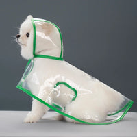 Transparent Hooded Raincoat