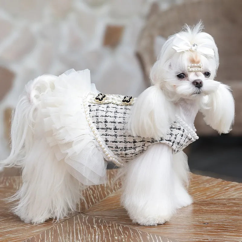 Couture Tweed Dress