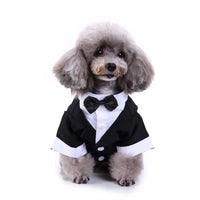 Tie Suit
