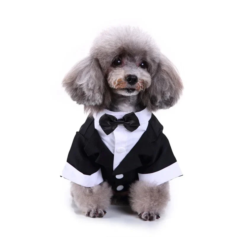 Tie Suit