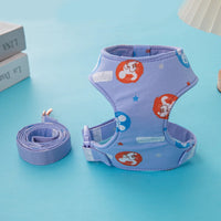 Disney Harness and Leash