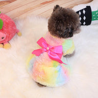 PawFur Winter Dress