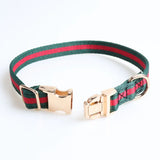 Gucchewi Collar and Leash