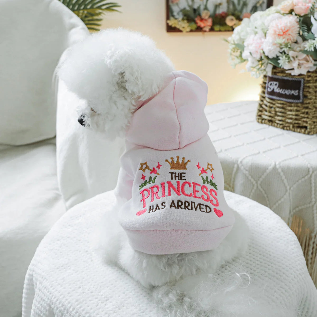 The Princess Has Arrived Hoodie