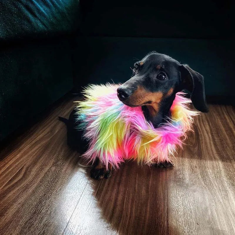 PawDiva Fur Sweater