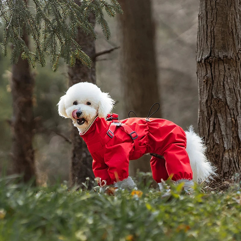 PawTrail Raincoat Jumpsuit