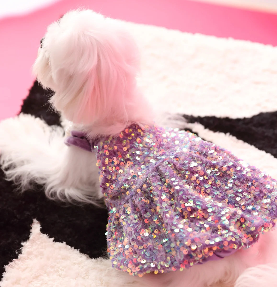 Princess Sequin Dress