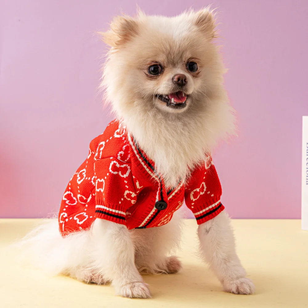 Pawcci Sweater