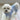 PawCute Raincoat Jumpsuit