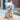 PawSweet Hooded Raincoat Jumpsuit