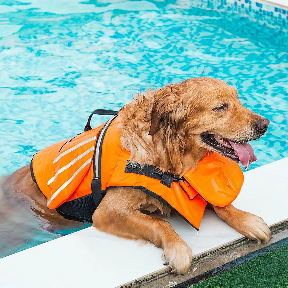 Wings Life Jacket
