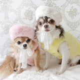 PawFur Winter Hat