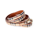 Purberry Collar and Leash