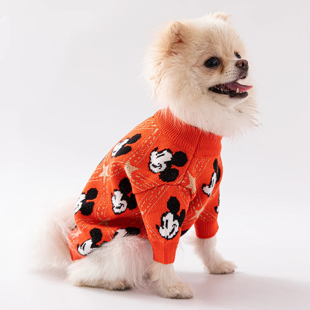 Disney Sweater
