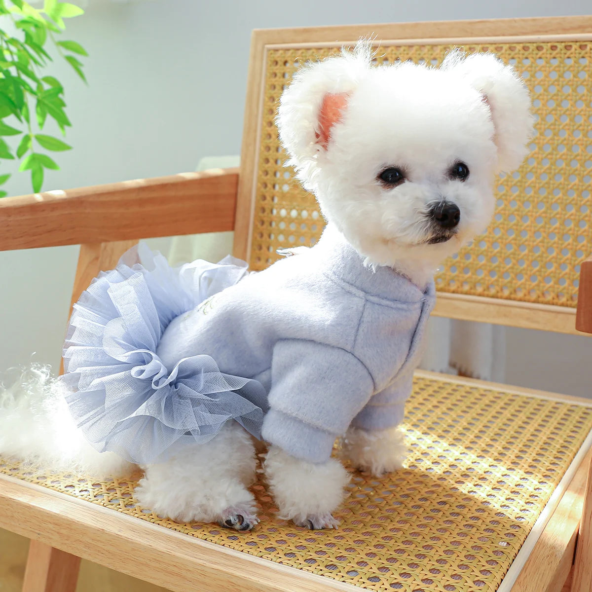 Crown Princess Dress