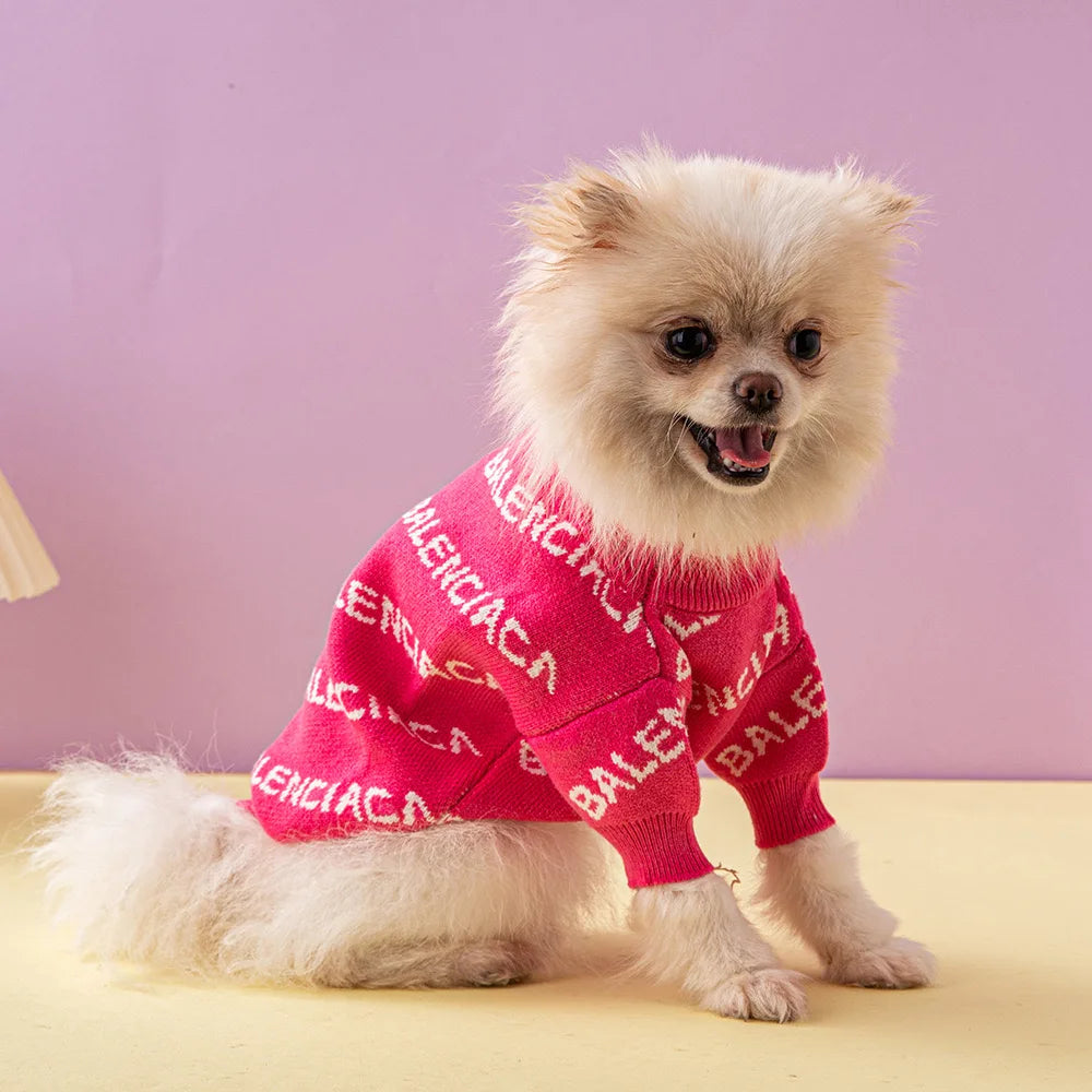 Pawlenciaga Sweater