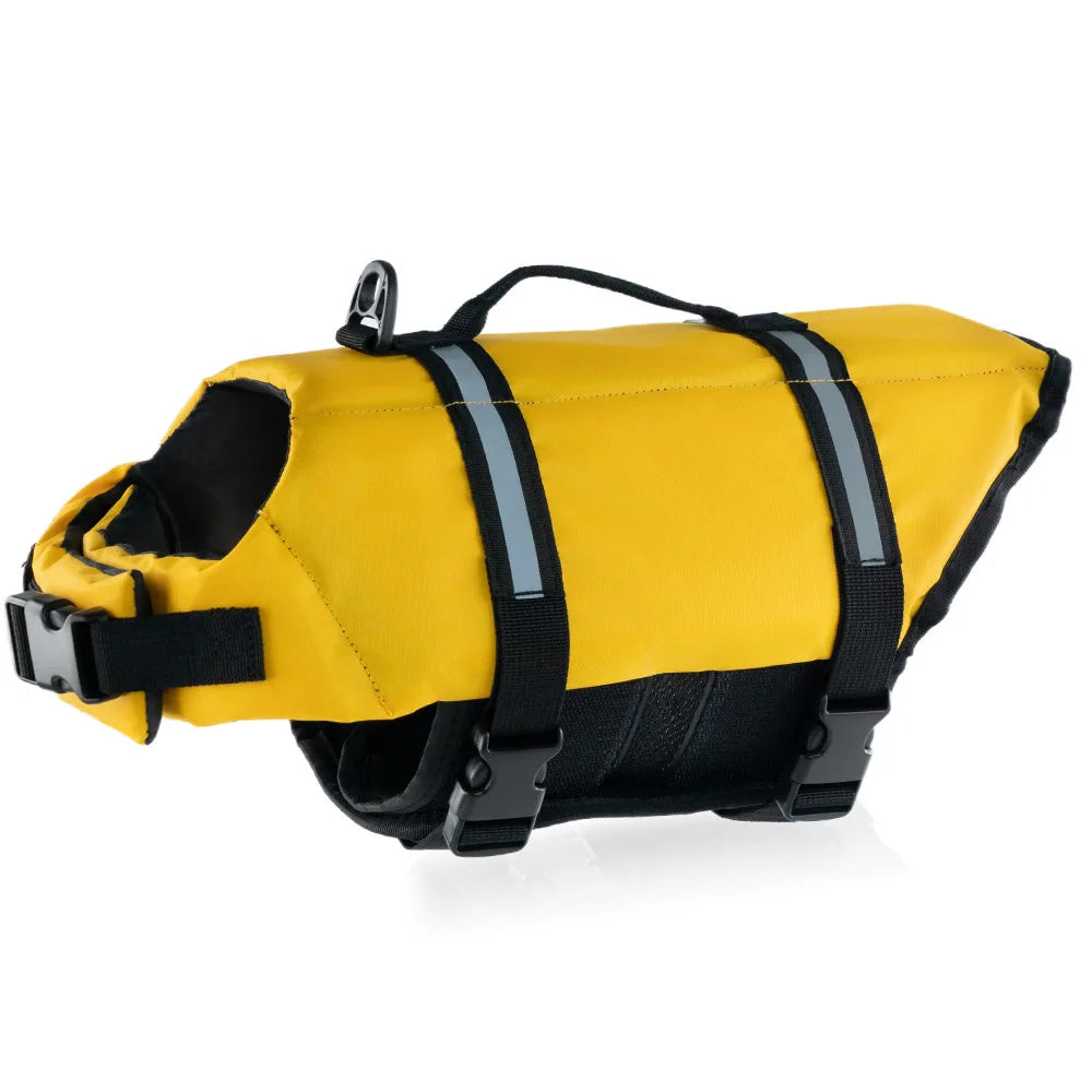 Vibrant Color Life Jacket