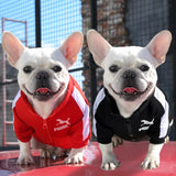 Pawma Jacket