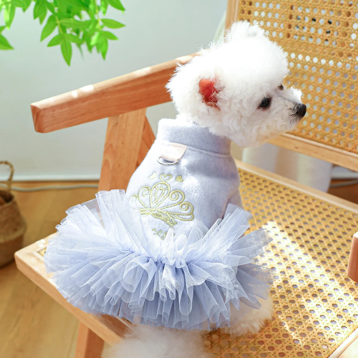 Crown Princess Dress
