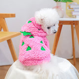 Dragon Fruit Flannel Hoodie