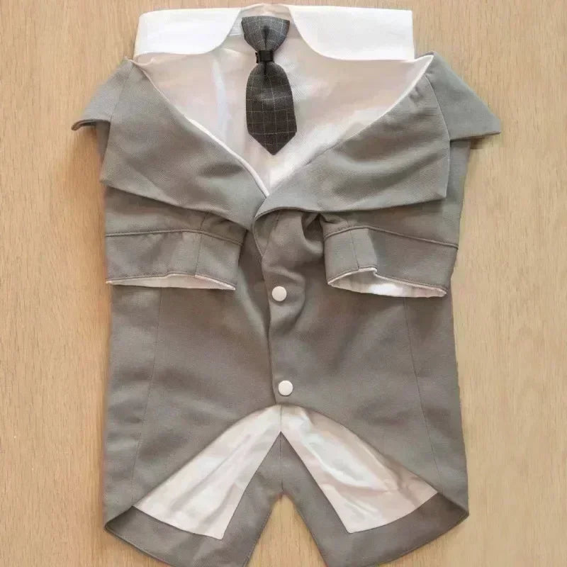 Business Tie Suit