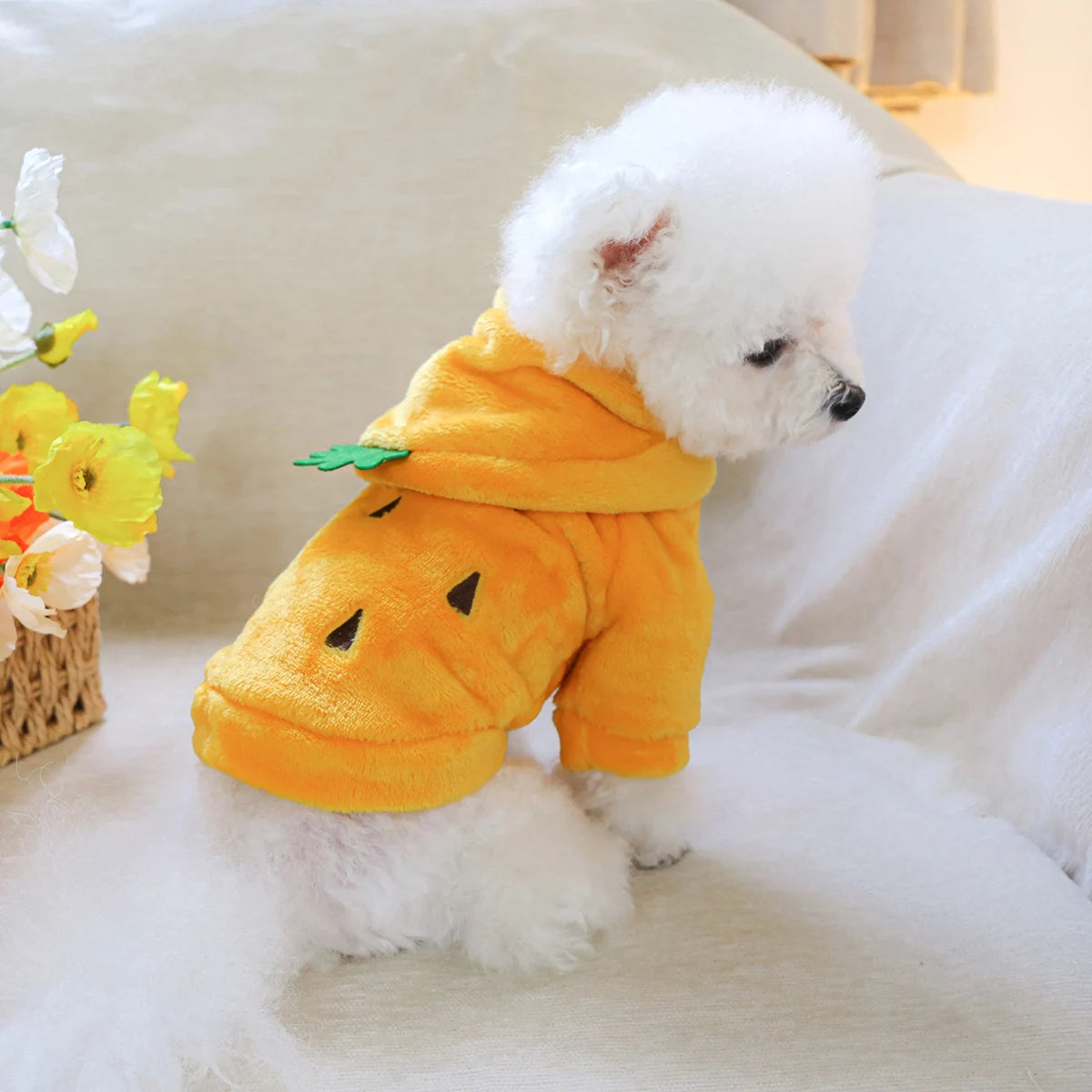 Pineapple Flannel Hoodie