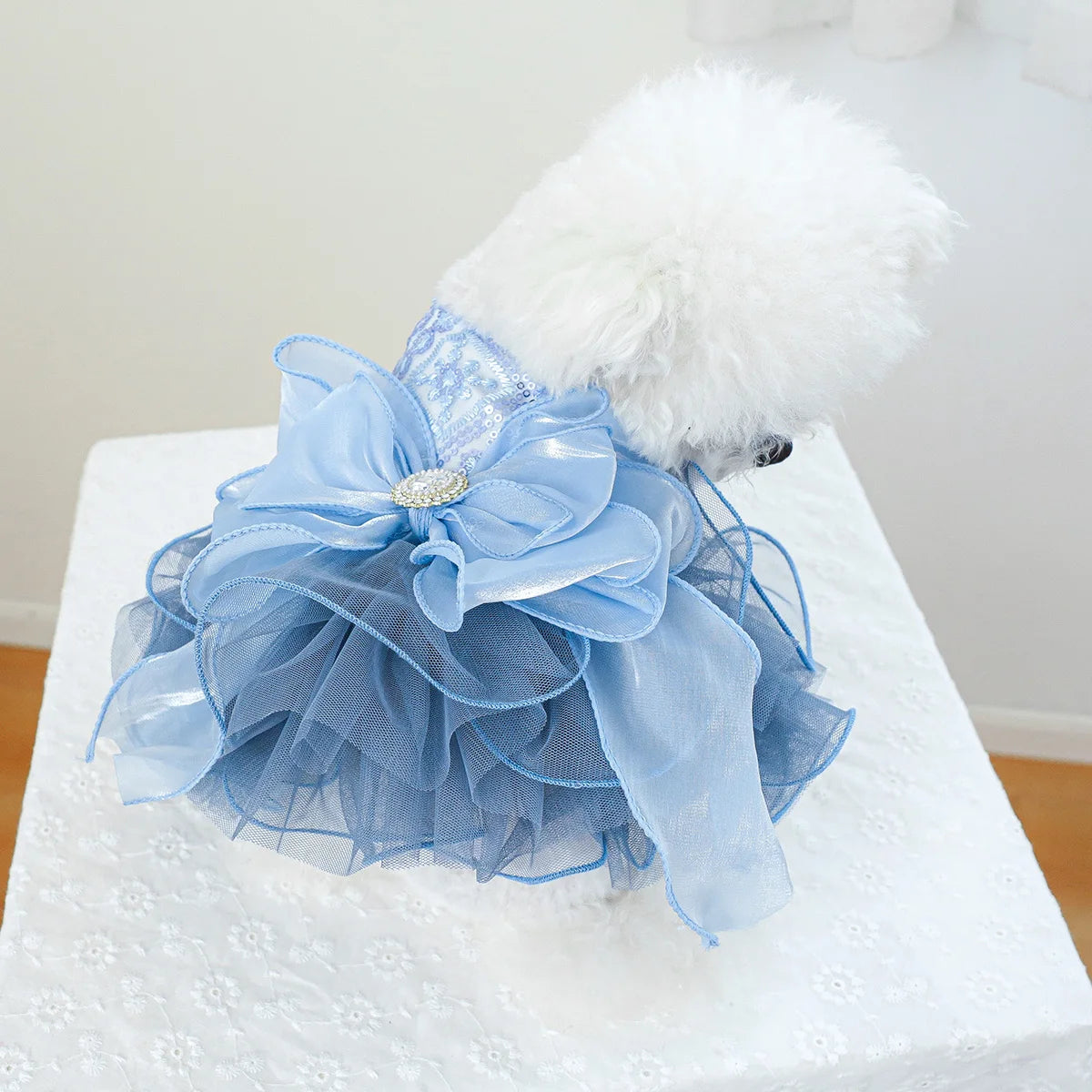 PawCinderella Dress