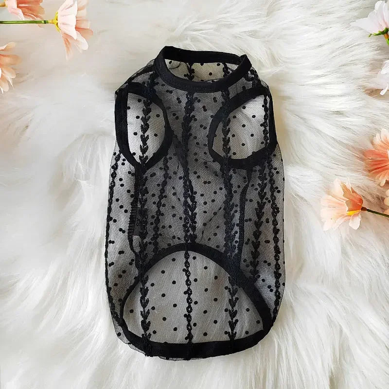 Lace Mesh Summer Tee