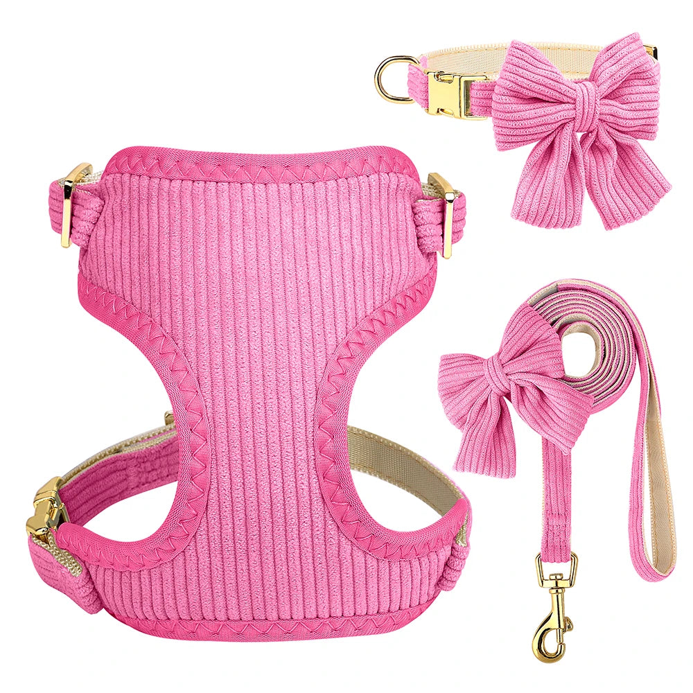 PawSweet Harness and Leash and Collar Set