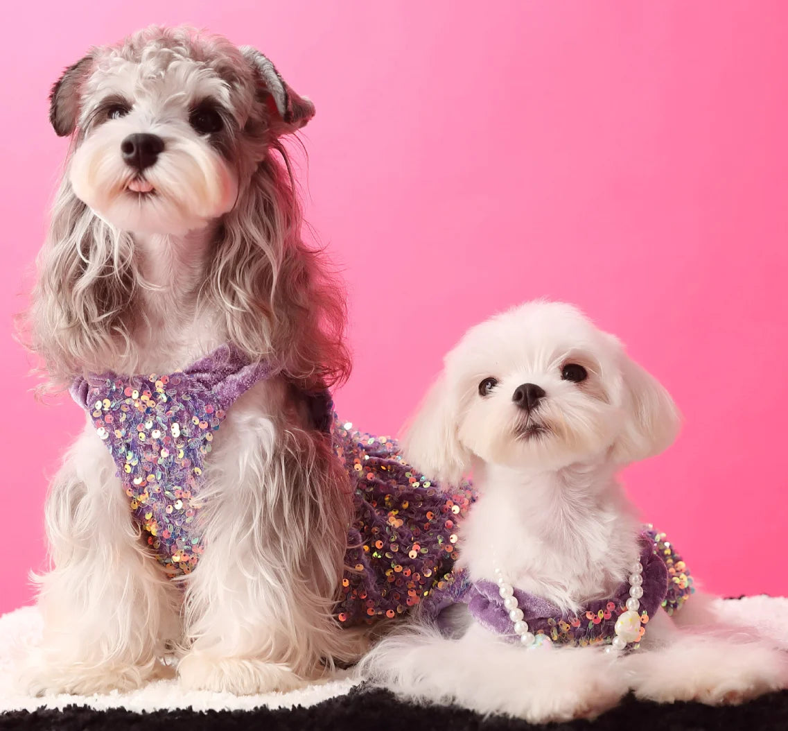 Princess Sequin Dress