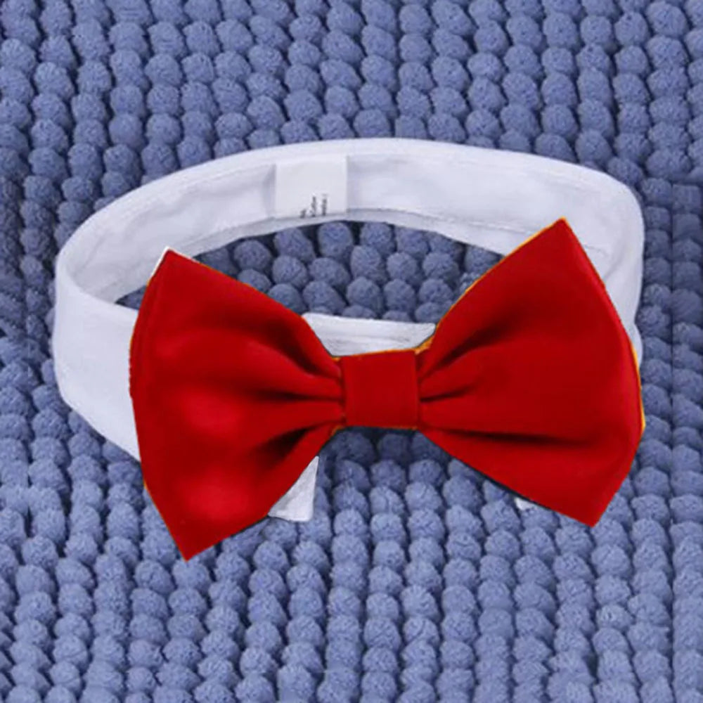 Bowtie Collar