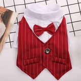 PawGent Tuxedo Vest
