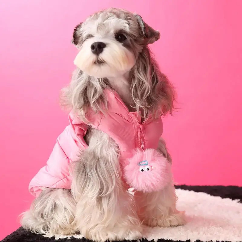 PawChic Princess Vest