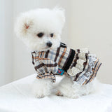 Pawlaine Tweed Dress