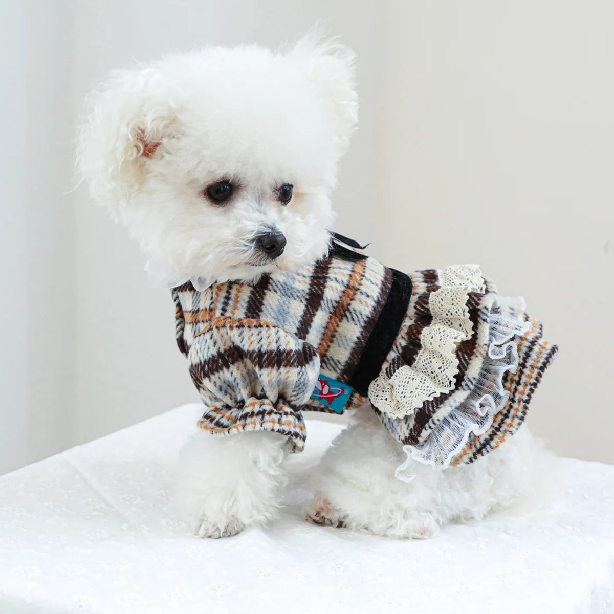 Pawlaine Tweed Dress
